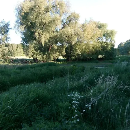 アパート La Vida ホッペガルテン