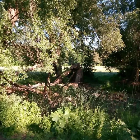 La Vida アパート