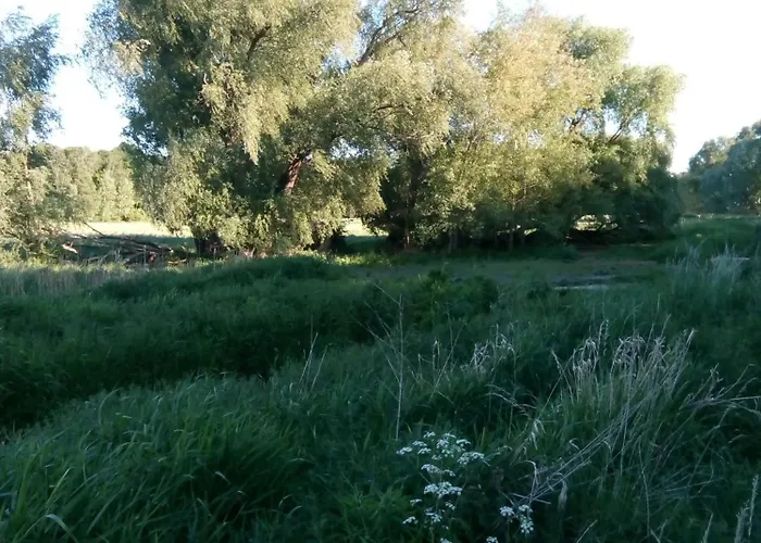 Apartamento La Vida Hoppegarten