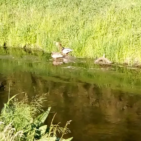 La Vida * Hoppegarten